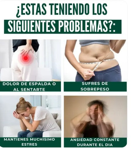 PACK DE 6 CAJAS DE PARCHES DESINTOXICANTES KINOKI