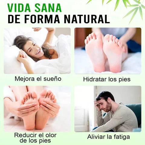 PACK DE 6 CAJAS DE PARCHES DESINTOXICANTES KINOKI